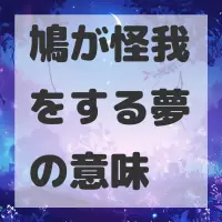 鳩が怪我をする夢のサムネイル画像