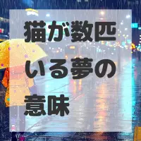猫が数匹いる夢のサムネイル画像