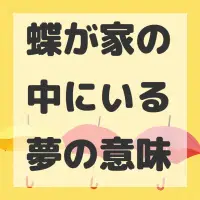 蝶が家の中にいる夢のサムネイル画像