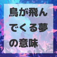 鳥が飛んでくる夢のサムネイル画像
