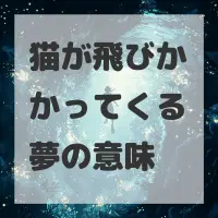 猫が飛びかかってくる夢のサムネイル画像