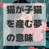 猫が子猫を産む夢のサムネイル画像