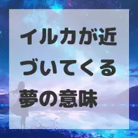 イルカが近づいてくる夢のサムネイル画像