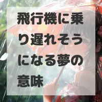 飛行機に乗り遅れそうになる夢のサムネイル画像