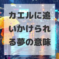 カエルに追いかけられる夢のサムネイル画像