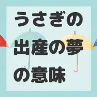 うさぎの出産の夢のサムネイル画像