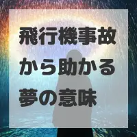 飛行機事故から助かる夢のサムネイル画像
