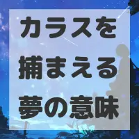 カラスを捕まえる夢のサムネイル画像