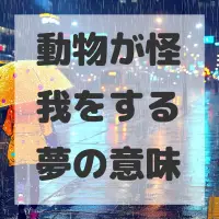 動物が怪我をする夢のサムネイル画像