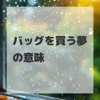 バッグを買う夢のサムネイル画像