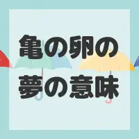 亀の卵の夢のサムネイル画像