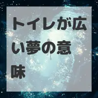 トイレが広い夢のサムネイル画像