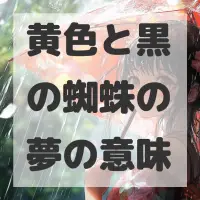 黄色と黒の蜘蛛の夢のサムネイル画像