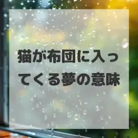 猫が布団に入ってくる夢のサムネイル画像