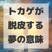 トカゲが脱皮する夢のサムネイル画像