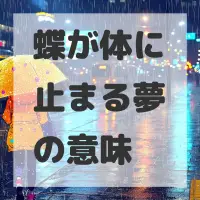 蝶が体に止まる夢のサムネイル画像