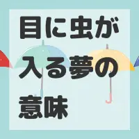 目に虫が入る夢のサムネイル画像