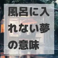 風呂に入れない夢のサムネイル画像