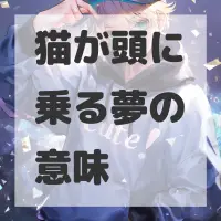 猫が頭に乗る夢のサムネイル画像