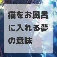 猫をお風呂に入れる夢のサムネイル画像