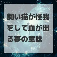 飼い猫が怪我をして血が出る夢のサムネイル画像