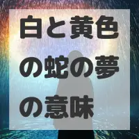 白と黄色の蛇の夢のサムネイル画像