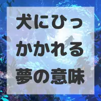 犬にひっかかれる夢のサムネイル画像