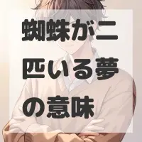 蜘蛛が二匹いる夢のサムネイル画像