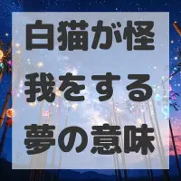 白猫が怪我をする夢のサムネイル画像