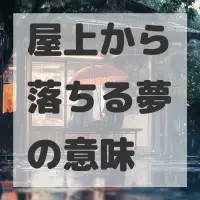 屋上から落ちる夢のサムネイル画像