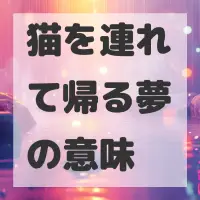 猫を連れて帰る夢のサムネイル画像