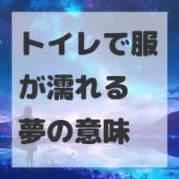 トイレで服が濡れる夢のサムネイル画像