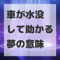 車が水没して助かる夢のサムネイル画像