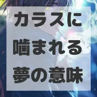 カラスに噛まれる夢のサムネイル画像