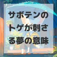 サボテンのトゲが刺さる夢のサムネイル画像