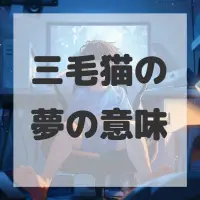 三毛猫の夢のサムネイル画像
