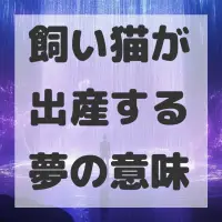 飼い猫が出産する夢のサムネイル画像