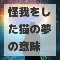 怪我をした猫の夢のサムネイル画像
