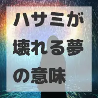 ハサミが壊れる夢のサムネイル画像