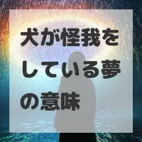 犬が怪我をしている夢のサムネイル画像