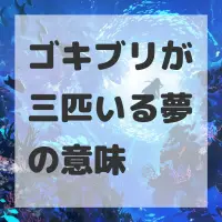 ゴキブリが三匹いる夢のサムネイル画像