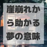 崖崩れから助かる夢のサムネイル画像