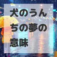 犬のうんちの夢のサムネイル画像