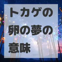 トカゲの卵の夢のサムネイル画像