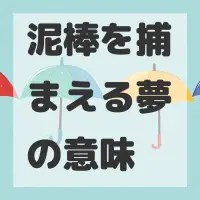 泥棒を捕まえる夢のサムネイル画像