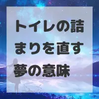 トイレの詰まりを直す夢のサムネイル画像