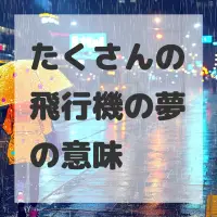 たくさんの飛行機の夢のサムネイル画像