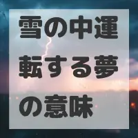 雪の中運転する夢のサムネイル画像