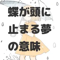 蝶が頭に止まる夢のサムネイル画像