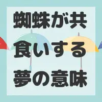 蜘蛛が共食いする夢のサムネイル画像